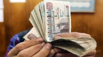 بشرى للموظفين.. المالية تعلن رسميا موعد صرف مرتبات شهر أكتوبر 2025 1